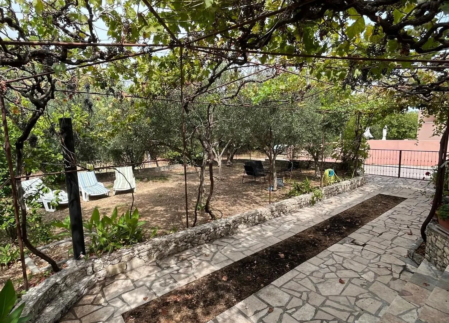 Apartman Miso Donji Okrug  Croatia
